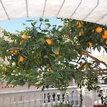 Ante Apartman Cavtat